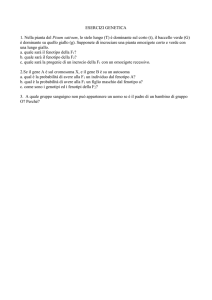 esercizi genetica