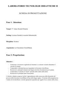 Scheda progettazione fotosintesi