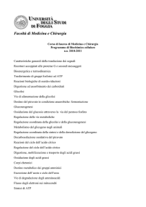 Biochimica Cellulare - Facoltà di Medicina e Chirurgia