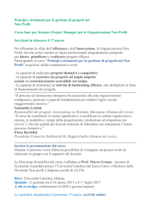 Principi e strumenti per la gestione di progetti no