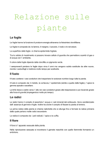 Le foglie - Share Dschola