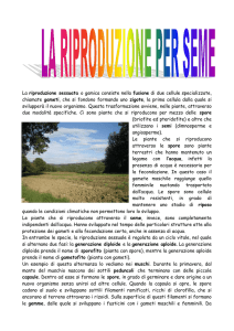 riproduzione sessuata - IHMC Public Cmaps (2)