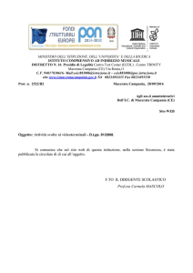 ATTIVITA` SVOLTE AI VIDEOTERMINALI - D.Lgs. 81/2008