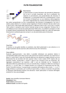 filtri polarizzatori