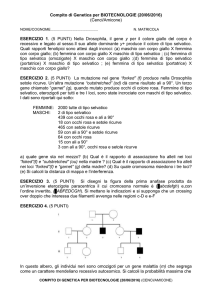 COMPITO 20_06_2016 - e