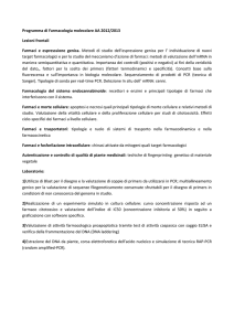 Programma Laboratorio Farmacologia Molecolare