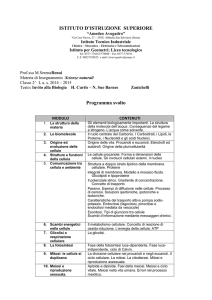 istituto d`istruzione superiore