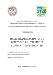 universita` degli studi di torino dipartimento di scienze agrarie