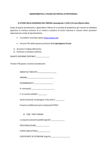 esercitazione BIOINFORMATICA-LOX - Progetto e