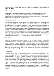 voluminosa cisti renale da echinococcus granulosus: case report