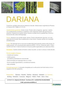 Dariana - L`agricola De Marchi