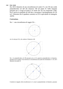 Costruzione. - salvomiceli