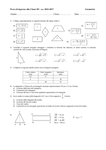 Test ingresso geometria