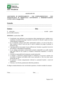 All. VII: assunzione di responsabilità