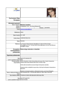 Curriculum Vitae Europass