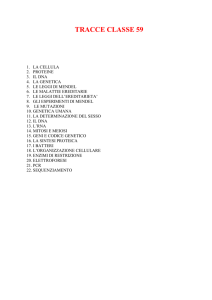 servizi online