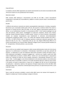 Negli ultimi anni l*Organizzazione Mondiale della Sanità ha