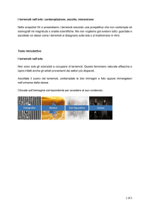 I terremoti nell`arte: contemplazione, ascolto, immersione Nello