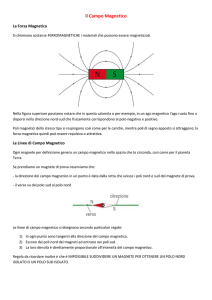Il_Campo_Magnetico - Appunti Per Tutti!!!
