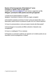 Spiegane i meccanismi di azione e come sia meglio - A-BEI