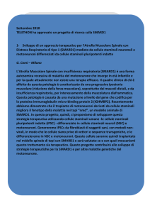 progetto di terapia