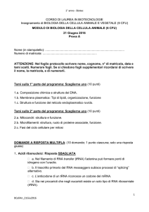 Testo BCAn 21 Gennaio 2016