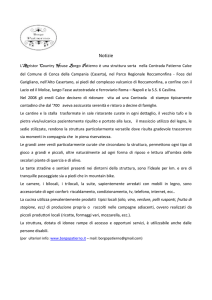 notizie sulla struttura