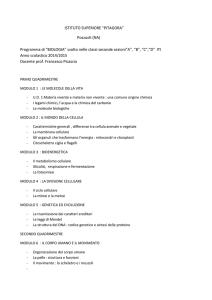 ISTITUTO SUPERIORE “PITAGORA” Pozzuoli (NA) Programma di