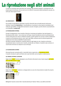 la riproduzione dei mammiferi e l`allattamento