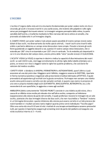 INTRO-SITO.