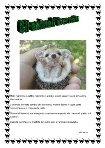 Gli animali ibernati Molti mammiferi, rettili, mammiferi, anfibi e insetti