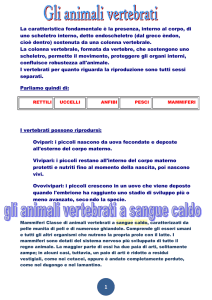 I vertebrati possono riprodursi