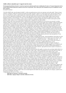 Addio cultura umanista