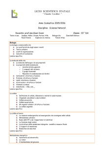 LICEO SCIENTIFICO STATALE “ Claudio Cavalleri “ Anno