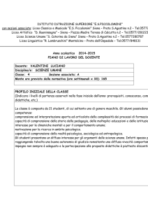 piano di lavoro del docente