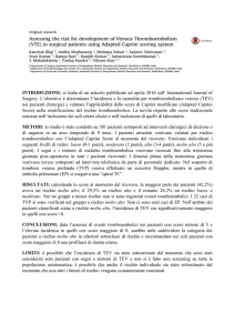 scarica il documento