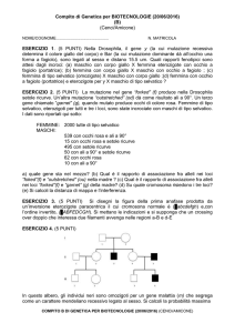 COMPITO 20_06_2016 B - e