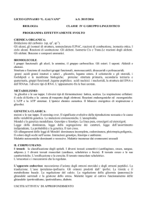 Programma effettivamente svolto