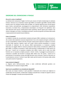 sindrome del cromosoma x fragile