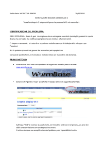 Stellin_Ilaria_relazione - Corso di Biologia Molecolare 2