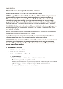 SAGGIO_di_TOLLENS