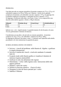 PROGRAMMAZIONE LINEARE con DERIVE