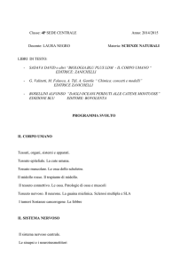 PROGRAMMA SVOLTO SCIENZE 4P A.S.2014