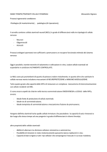 NANO TERAPIE/TRAPIANTI CELLULE STAMINALI Alessandro