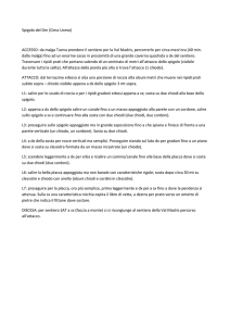 Spigolo Est Cima Om - Scuola di Alpinismo e Scialpinismo G