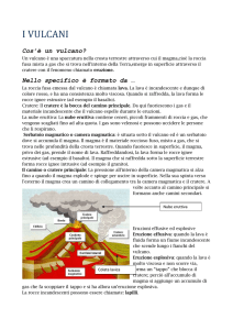 Nello specifico è formato da