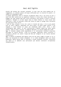 Oasi dell`Egitto Avvolti dal mistero dei racconti orientali, le oasi sono