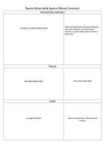 Scheda_Botanica_per_Word - Gli Approfondimenti del Prof