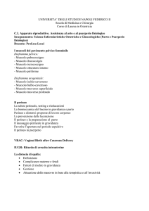 Scienze-Infermieristiche-Ostetriche-e-Ginecologiche
