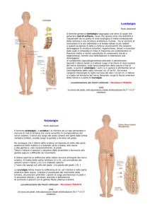 Lombalgia Punti doloranti Il termine generico lombalgia raggruppa